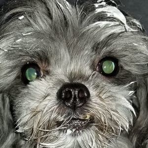 Meet your Posher, Becky